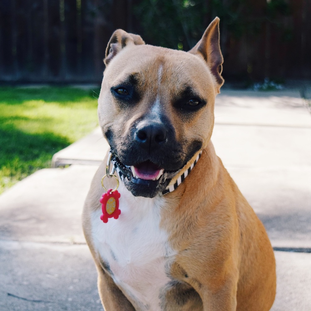 Meet your Posher, Shawna